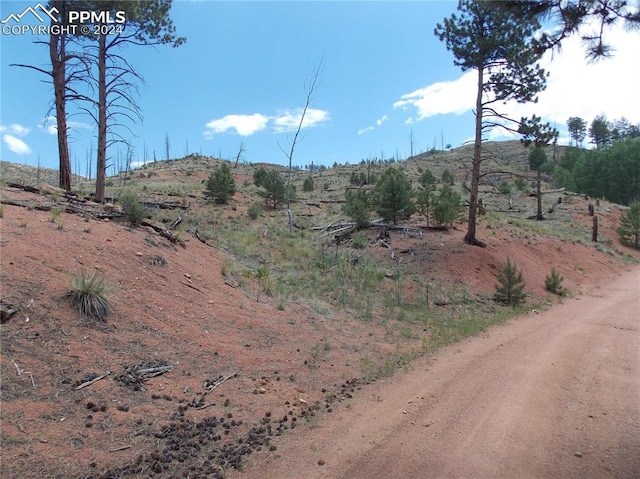 14691 Crooked Trail Rd, Woodland Park CO, 80863 land for sale