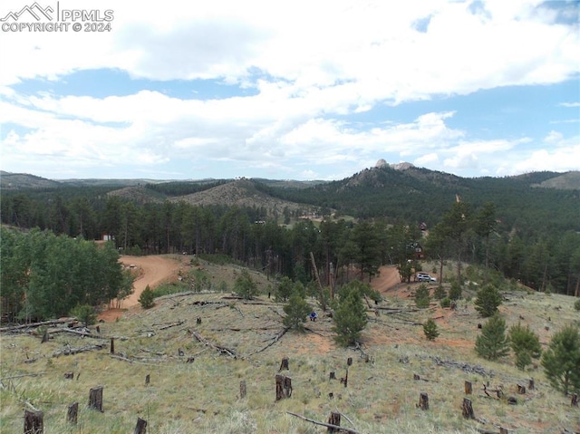 14691 Crooked Trail Rd, Woodland Park, CO 80863
