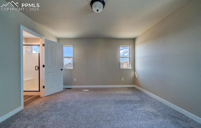 interior space with carpet and multiple windows