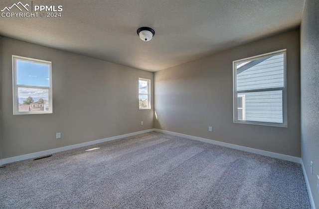 empty room with a healthy amount of sunlight and carpet flooring