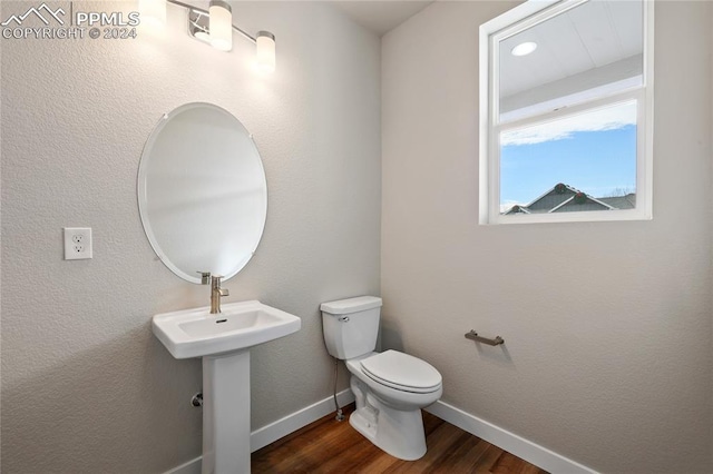 bathroom with toilet and wood-type flooring