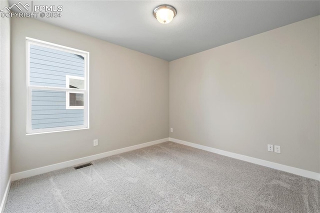 spare room with a wealth of natural light and carpet floors