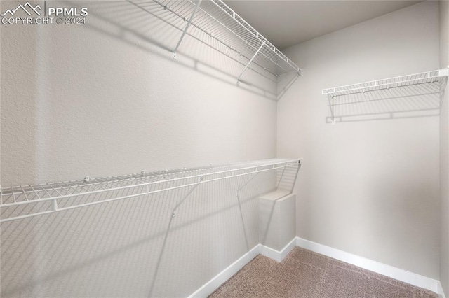 spacious closet with carpet flooring