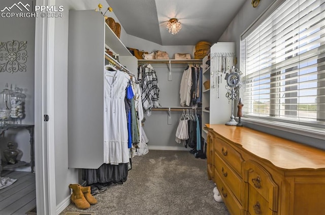 spacious closet with dark colored carpet