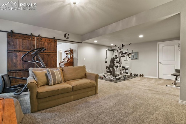 workout room with a barn door and carpet floors