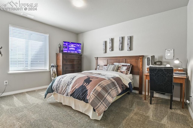 bedroom with dark carpet