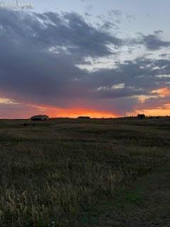 view of nature at dusk