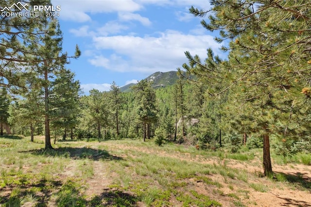 Listing photo 2 for 6050 Coffee Pot Rd, Manitou Springs CO 80829