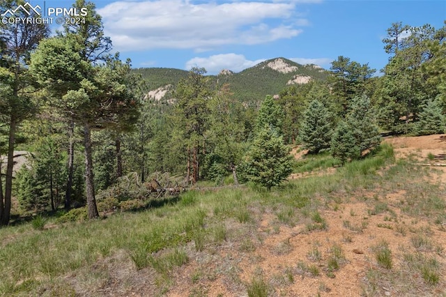 Listing photo 3 for 6050 Coffee Pot Rd, Manitou Springs CO 80829