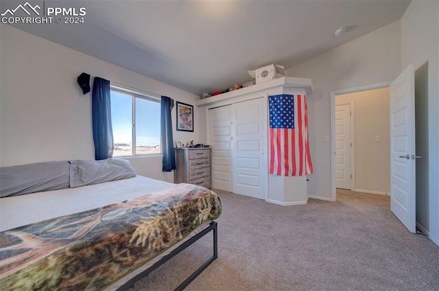 carpeted bedroom featuring a closet