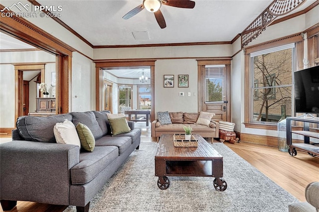 living room featuring a wealth of natural light, hardwood / wood-style floors, crown molding, and ceiling fan with notable chandelier