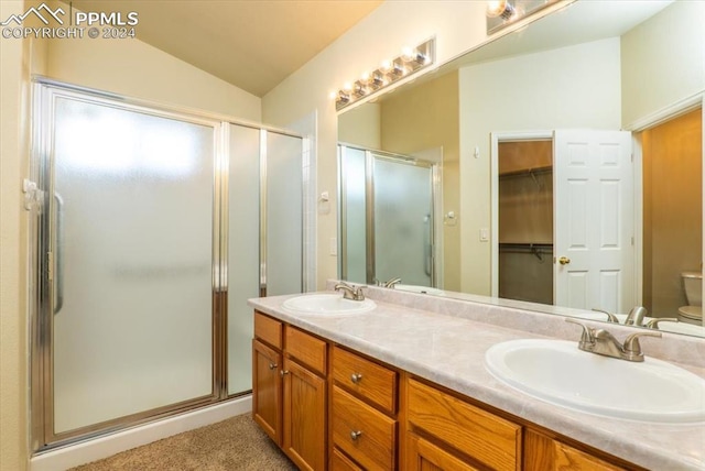 bathroom featuring toilet, a shower with door, vaulted ceiling, and vanity