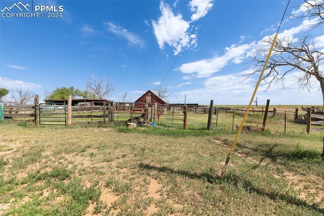 view of yard with a rural view