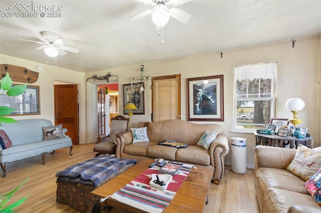 living room with ceiling fan and wood-type flooring