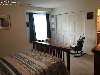 carpeted bedroom featuring a closet