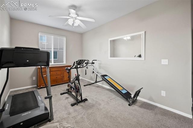 workout room featuring light colored carpet and ceiling fan