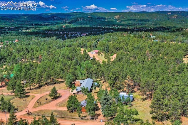 bird's eye view with a mountain view