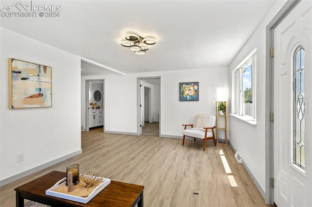 interior space featuring light hardwood / wood-style floors