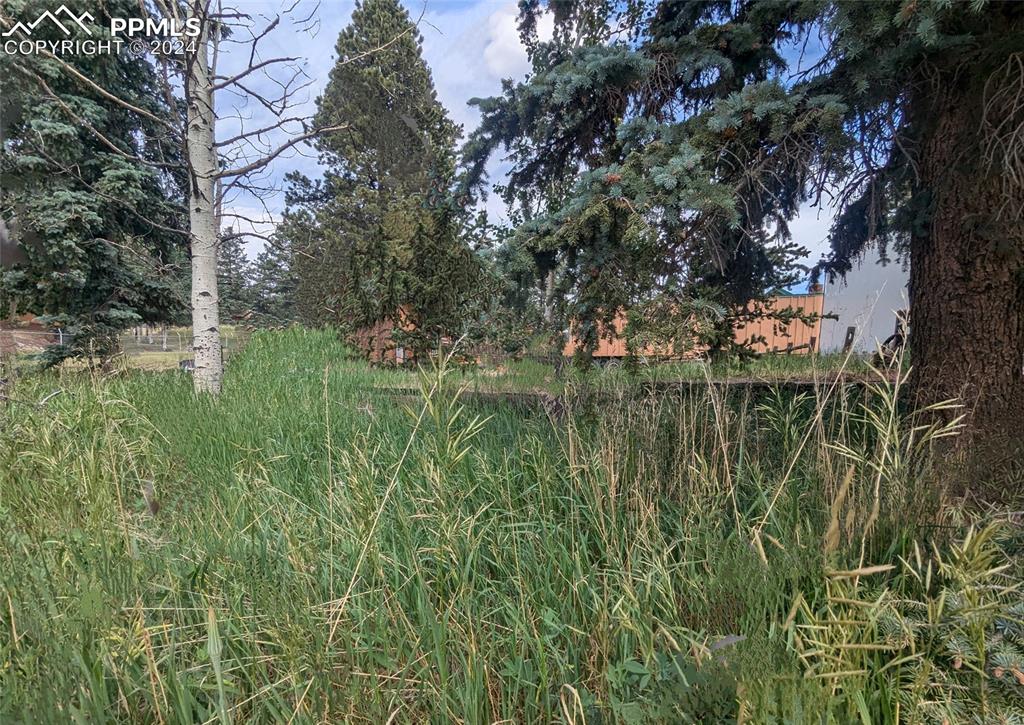 814 W Lorraine Ave, Woodland Park, CO 80863