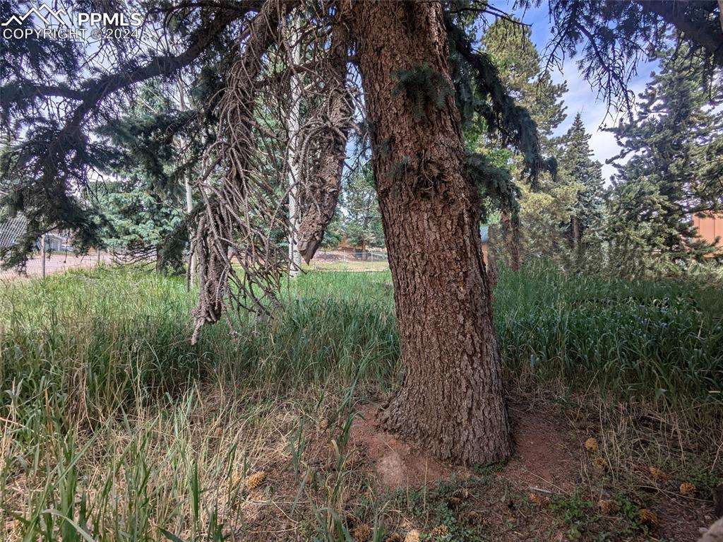 814 W Lorraine Ave, Woodland Park, CO 80863
