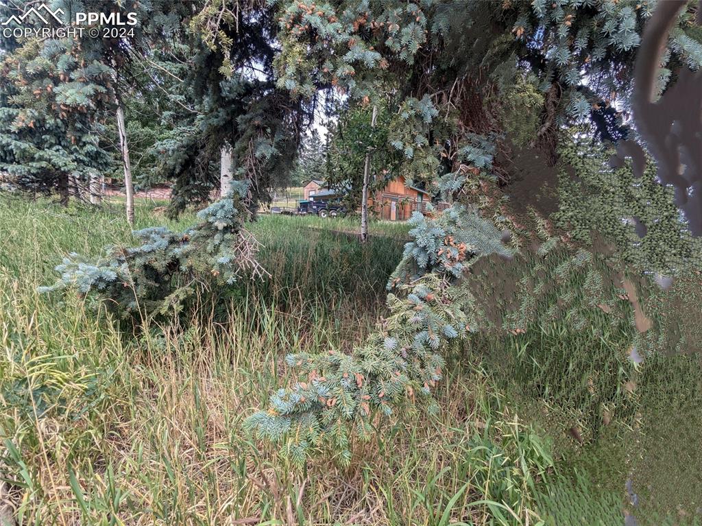 814 W Lorraine Ave, Woodland Park, CO 80863