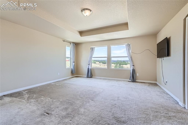 unfurnished room featuring a raised ceiling, light carpet, and a textured ceiling