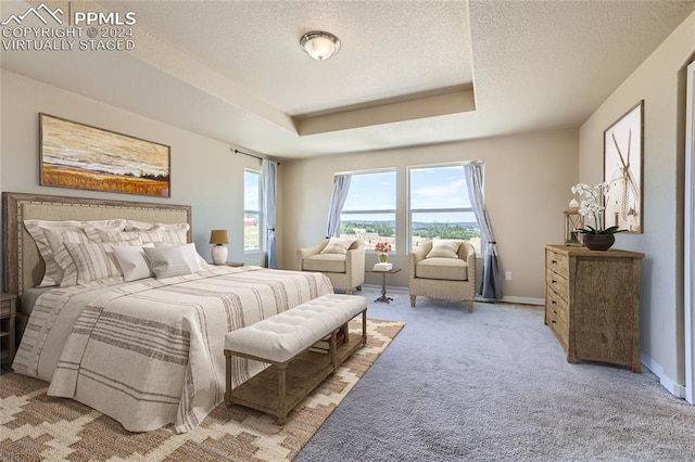 carpeted bedroom with a raised ceiling and a textured ceiling