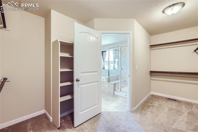 spacious closet featuring light carpet