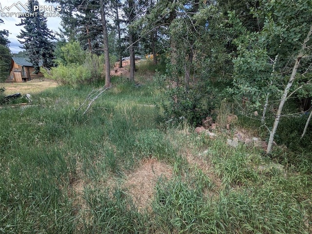 Burdette St, Woodland Park CO, 80863 land for sale