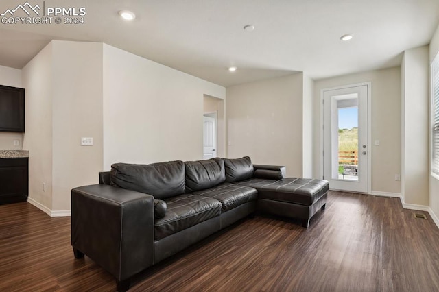 living room featuring dark hardwood / wood-style flooring