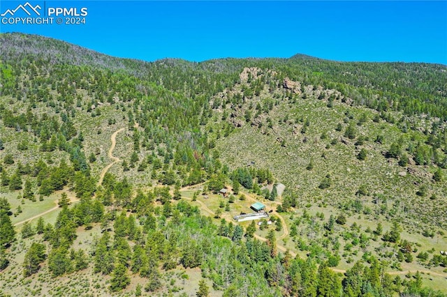 bird's eye view featuring a mountain view