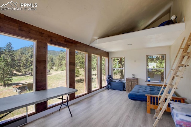 sunroom featuring a healthy amount of sunlight and vaulted ceiling