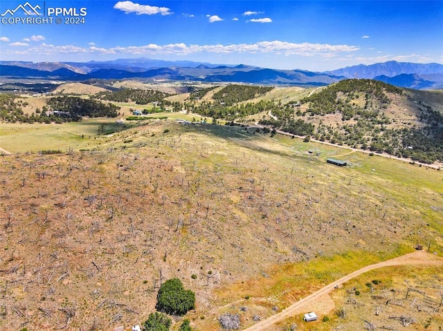 I Path, Cotopaxi CO, 81223 land for sale