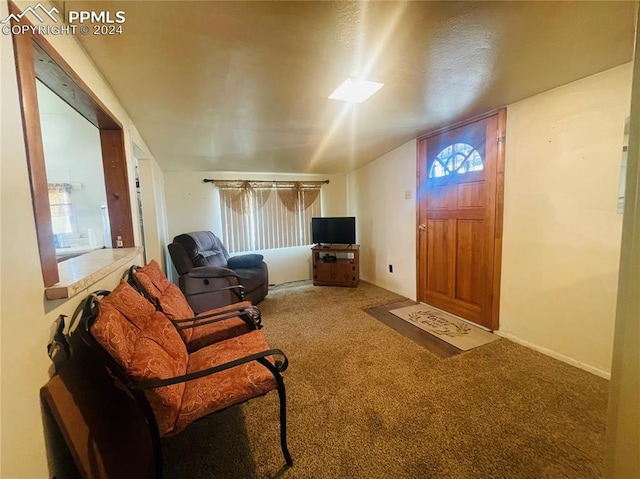 living room with carpet