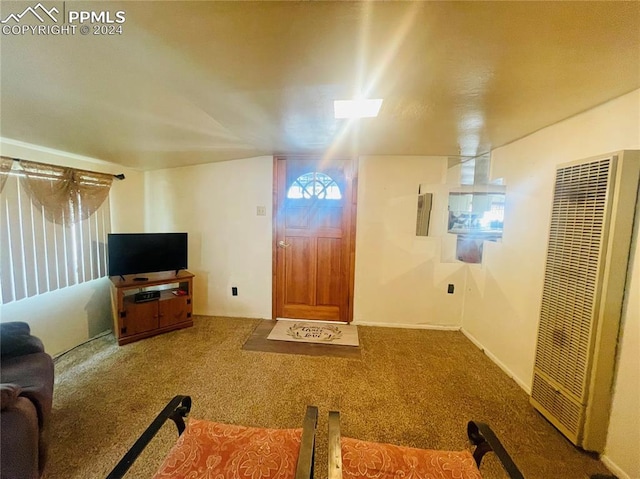 living room with carpet floors