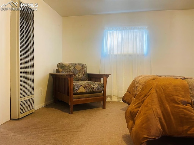 living area with light colored carpet