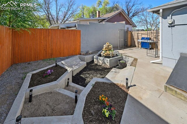 view of yard with a patio area