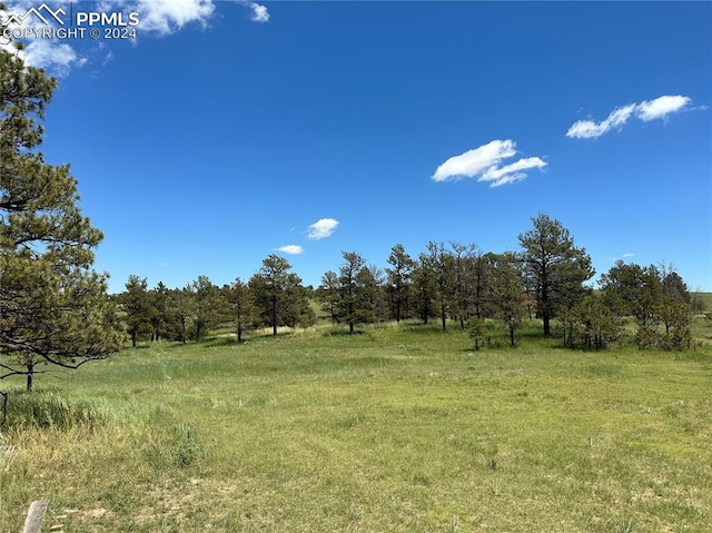 01 Cattle Cir, Ramah CO, 80832 land for sale