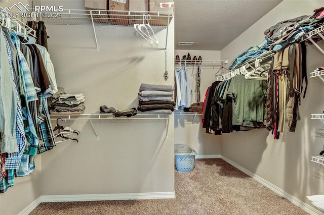 spacious closet featuring carpet flooring