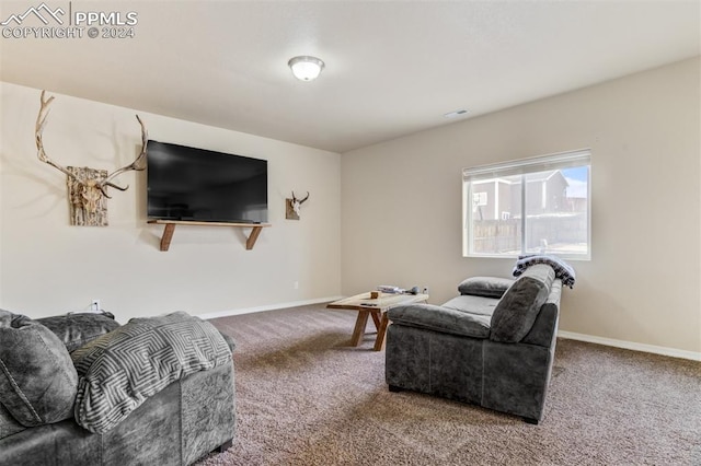 living room with carpet floors