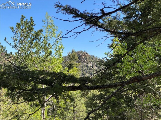 Listing photo 3 for 210 Waterfall Loop, Manitou Springs CO 80829