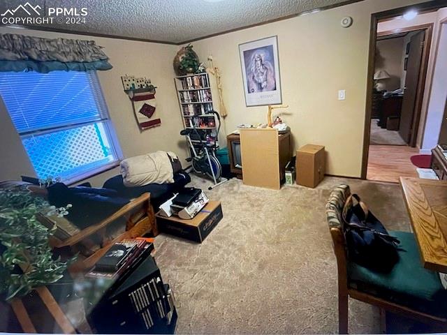 interior space featuring carpet and a textured ceiling