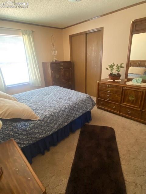 carpeted bedroom with a closet and a textured ceiling