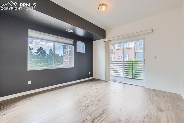 empty room featuring a wealth of natural light and light wood-type flooring