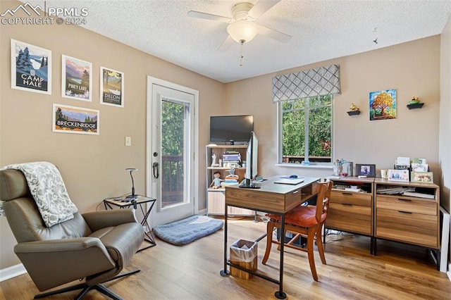 office space featuring light hardwood / wood-style floors, a healthy amount of sunlight, and a textured ceiling