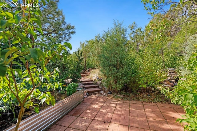 view of home's community with a patio