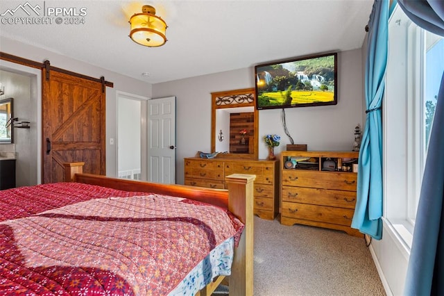 bedroom with a barn door and carpet flooring