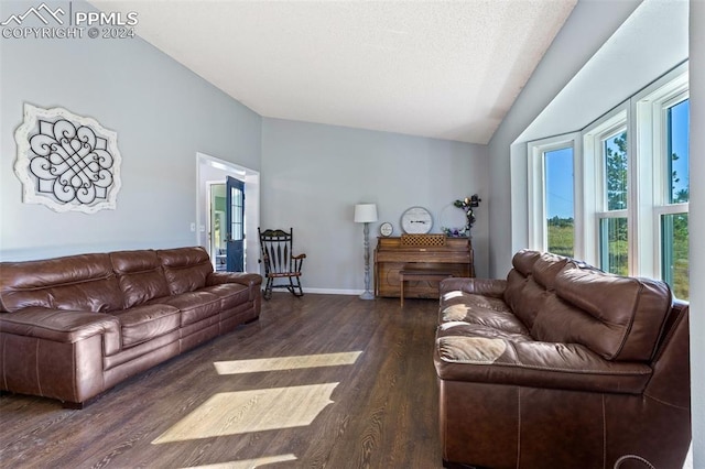 living room featuring lofted ceiling, dark hardwood / wood-style flooring, and a textured ceiling