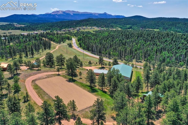 bird's eye view featuring a mountain view