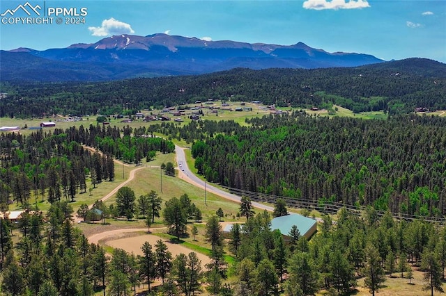 aerial view featuring a mountain view